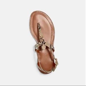 NWT Coach Lydia Sandals